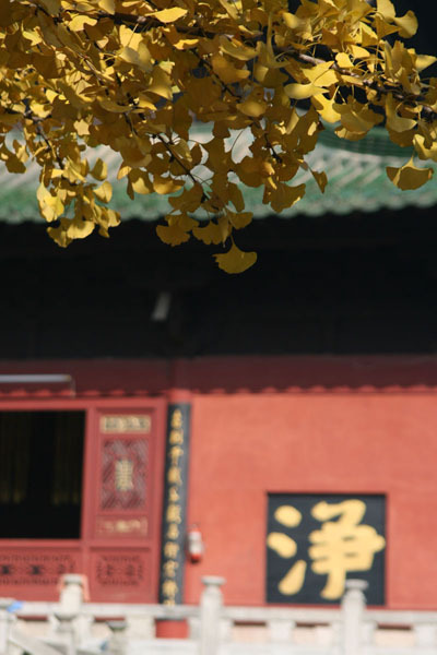 印光法师文钞菁华录