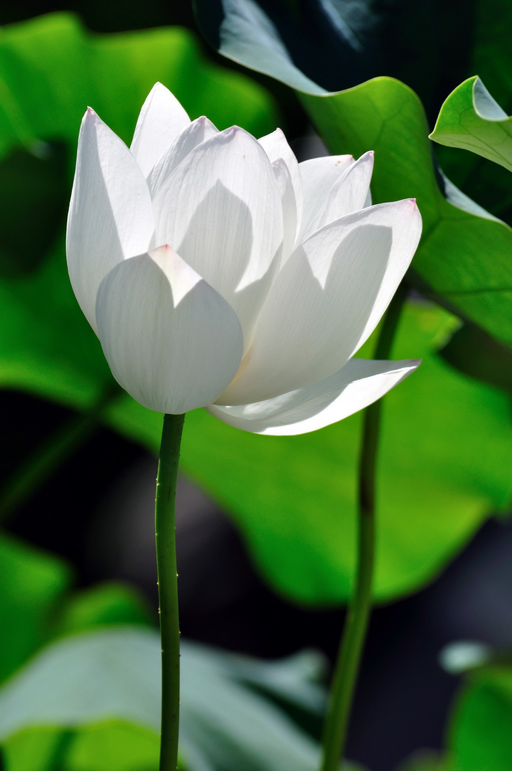 禅语智慧