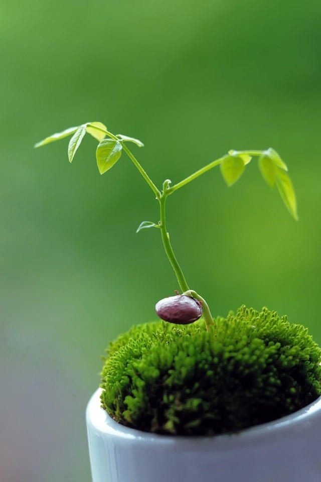 【禅语智慧】1.不懂装懂是聪明，懂装不懂是智慧。2.示弱而不逞强，示拙而不逞能。3.忍
