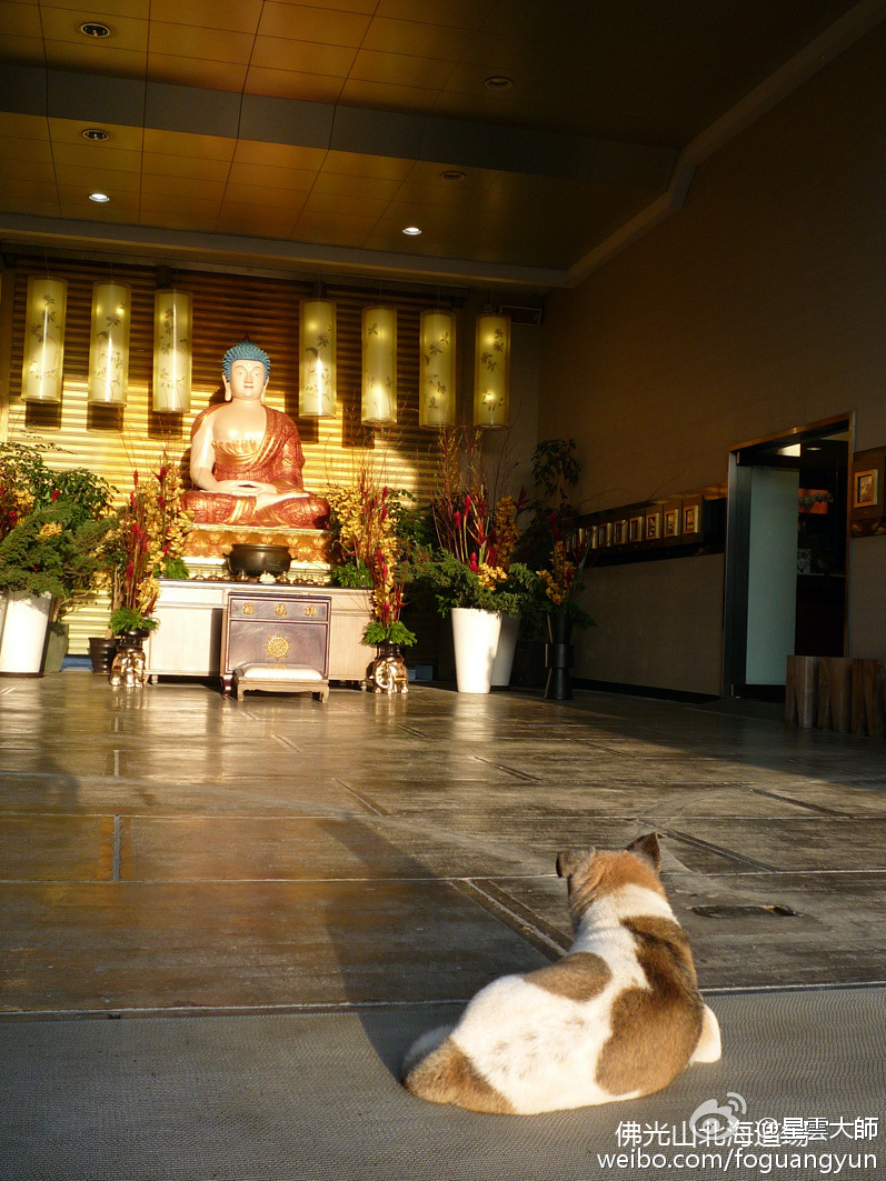 对未来的境界不要幻想，就是「持戒」。