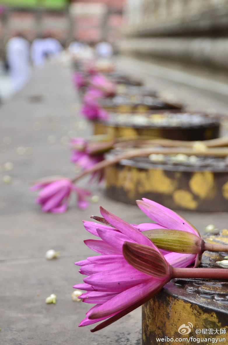 久远以来，我们就和一个我们最亲近的人住在一起，只是不知道他的名字罢了，他是谁呢？他就是我们自己的真如佛性。