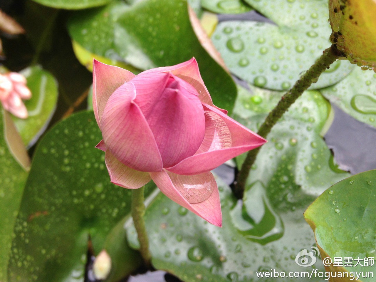 心能造天堂；也能造地狱，心能造苦；也能造乐，就看心的主人，要创造天堂，还是创造地狱了。