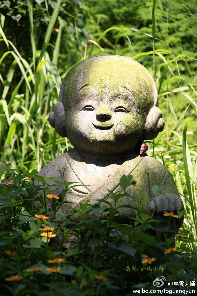 一炷清香不如一瓣心香，一束鲜花不如一脸微笑，一杯净水不如一念净信，一串念珠不如一句好话。