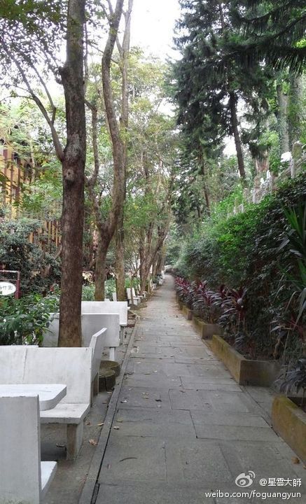 所谓「动中乾坤大，静里日月长」。人生要能够在热闹中作道场，也能享受在静的世界里，身心在动静中都能够有所安住，才能处处安然，时时自在啊！