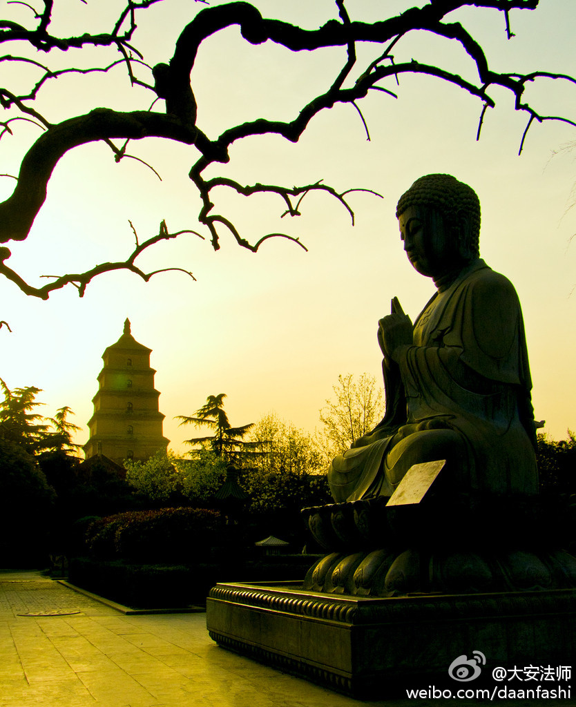 大安法师