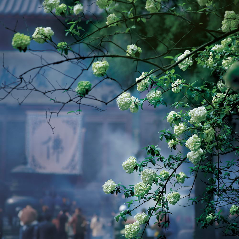 大安法师