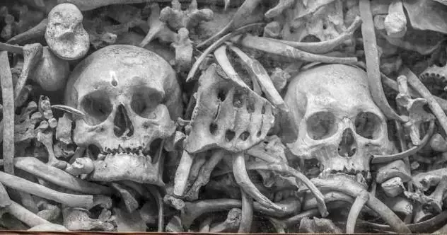 世界史上最恐怖的瘟疫，两次发生在中国！