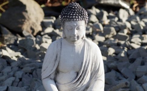 学佛和修行有什么不同？