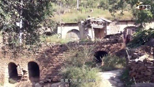 不挑食的出家人，一切素食皆是功德
