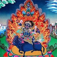 轻松学金刚铠甲心咒