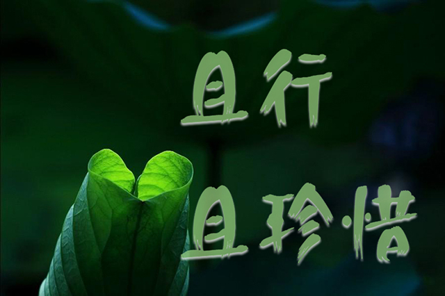 《你好，李焕英》懂得欣赏自己的人生，懂得欣赏养你长大的那个人