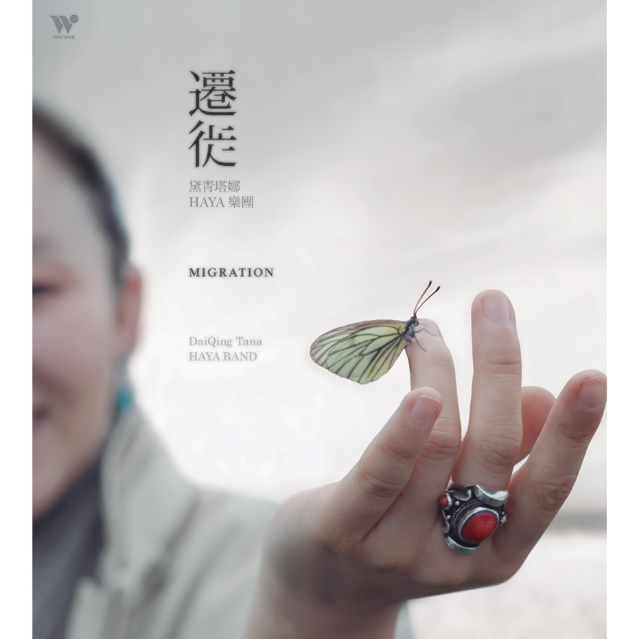 迷路的羊羔