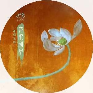 音乐封面