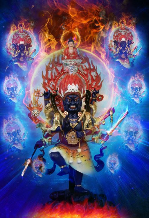 秽迹金刚神奇的感应故事集