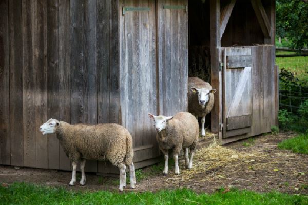 造业以后，为什么果报会增长呢？