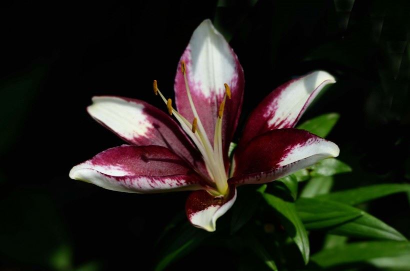 做错事后就忏悔，长久下来忏悔还好用吗？