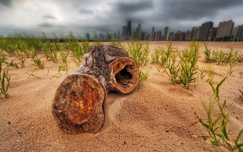 什么是谤法罪？怎样消除谤法罪？