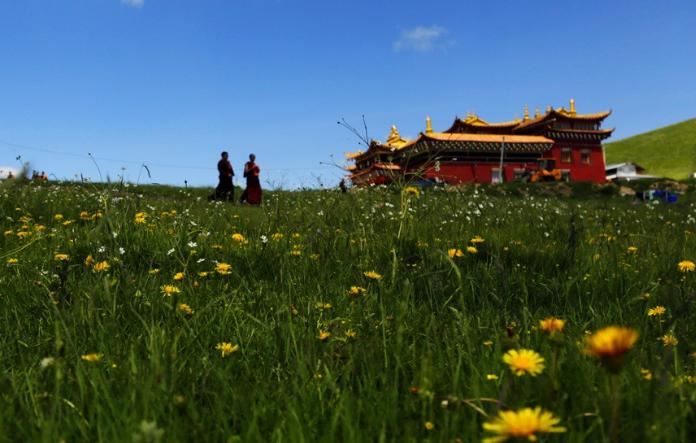 学生应该怎么学佛修行？