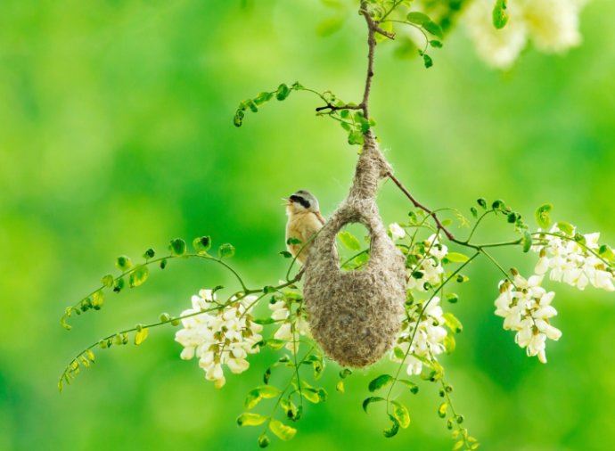 为何末法时期修行需要那么多次第？