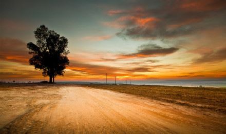 为什么尽虚空遍法界不离一心？