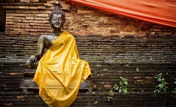 早上修加行前需要做上师瑜伽吗？