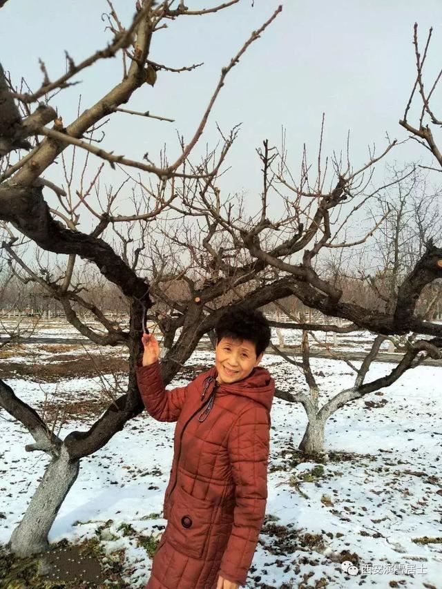 西安演雪居士是怎样将佛号圆融在日常生活中的？