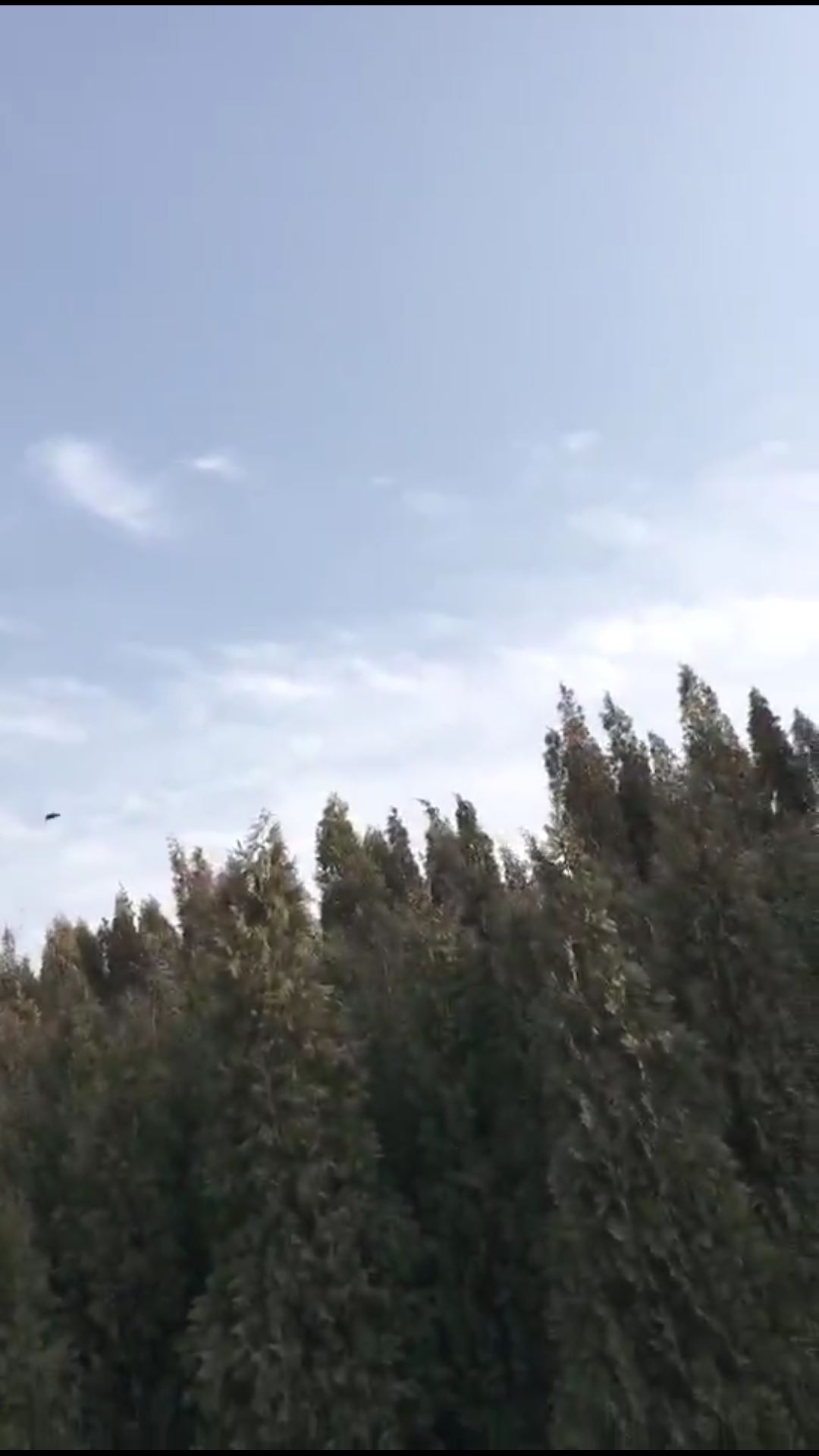 三十载业障月余消，老师父表法谢演雪！