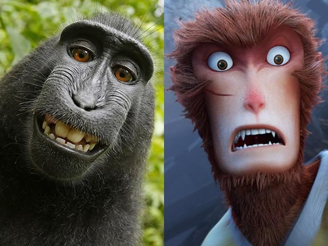 持大悲咒调伏猴怪