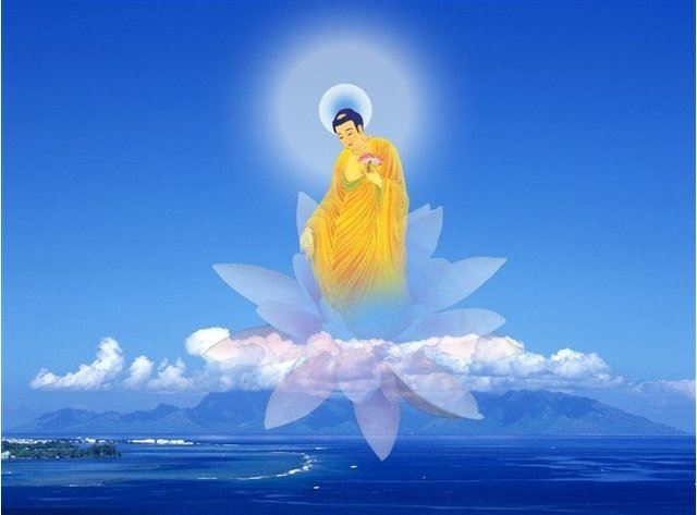 阿弥陀佛叫我先回来劝你们学佛念佛，过100天后再回去！