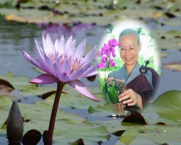 道证法师预知时至，回归弥陀愿海