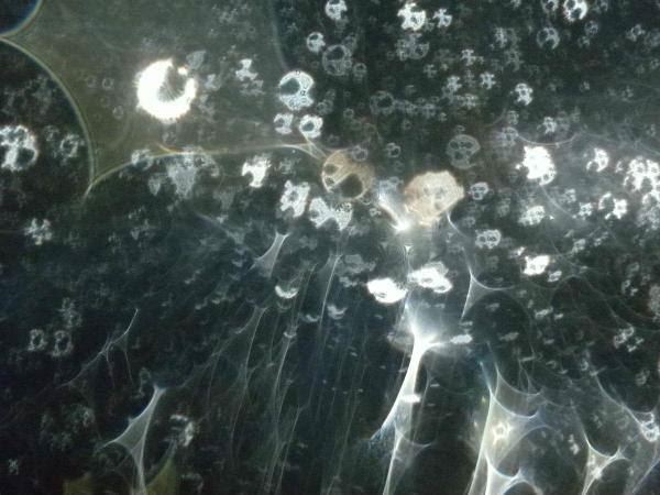 《大般涅盘经》绝妙施食祈祷文，能让你的功德、护法神数量，几何级数增加