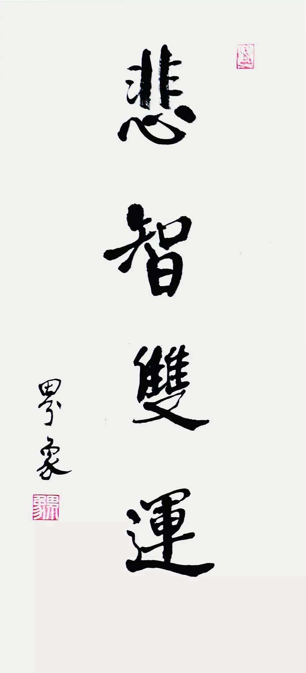 悲智应双运，定慧应等持（幸福）