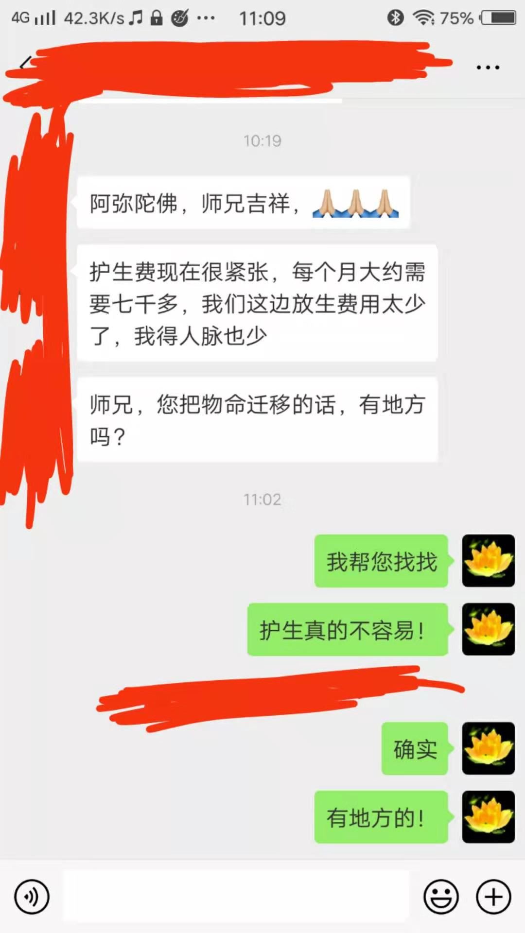幸福：略说放生的慈悲，护生的发心！