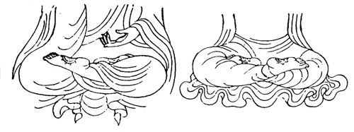 佛家的坐姿，主要有二种，吉祥坐与降魔坐