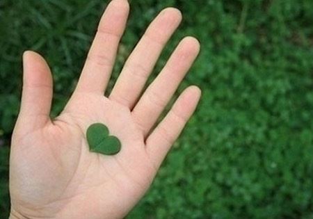 世界的救世主是谁？