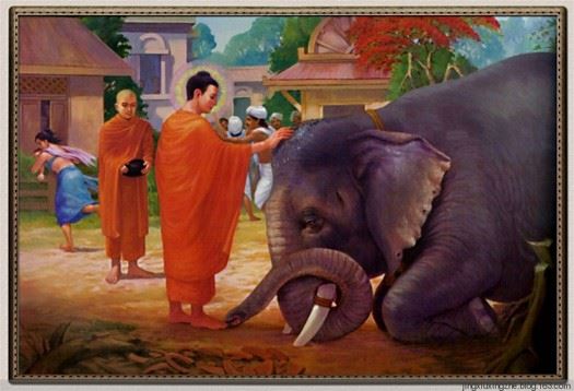 皈依佛门不是出家,明星艺人皈依出家众生相