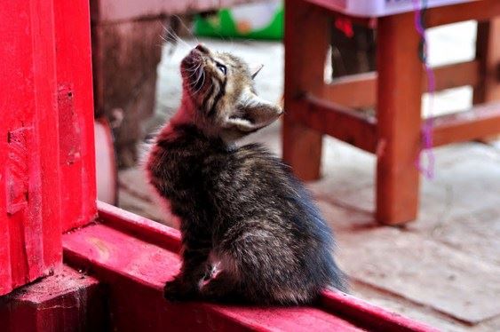 佛学问答:佛为什么把亲人之爱叫饿鬼爱？