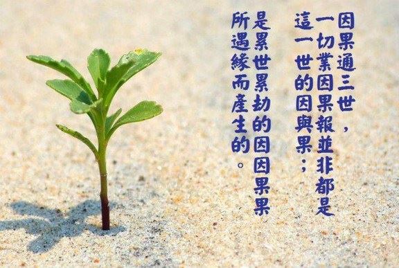 何谓大千世界？《西游记》中的四大部洲什么样？