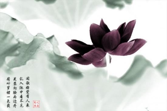 我劝你最好是放下执念：执着如渊，是渐入死亡的沿线