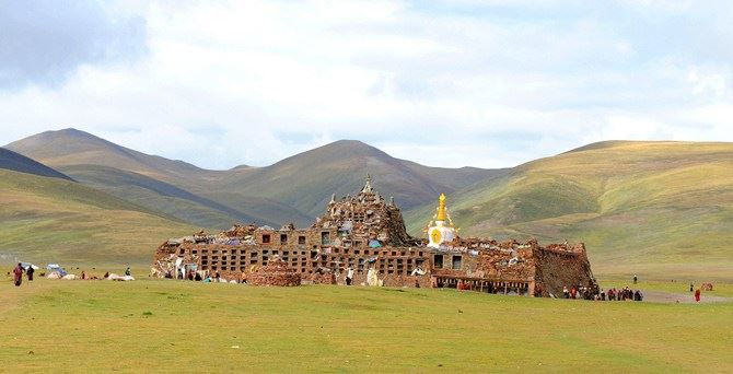 极力提倡戒杀放生和持素，究竟有何利益？