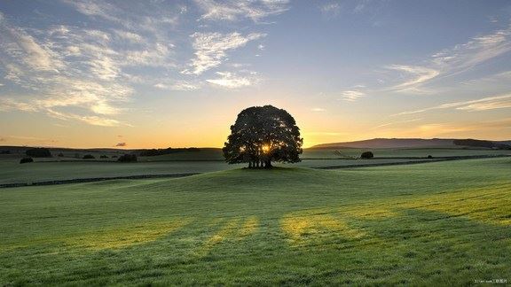 短短六个字，写尽了一生