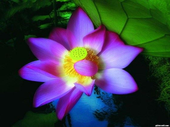 闭上嘴是一种修行