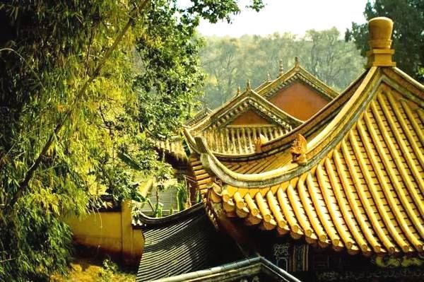寺院的墙为什么大都是黄色的？