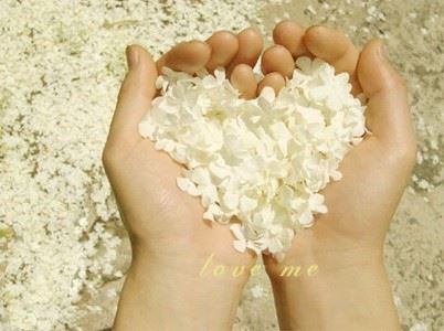 佛教故事：禅宗四祖点化法融法师初创“牛头禅”的故事