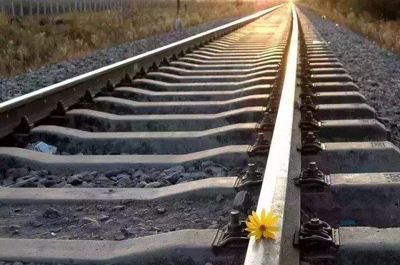 再次强调孝养父母及行善对戒邪淫的重要性，你还不打算戒手淫吗？