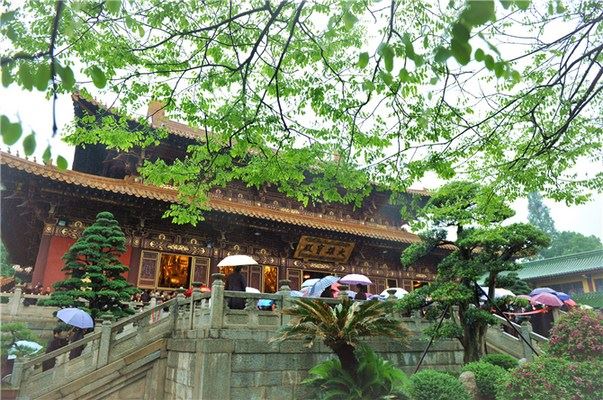 佛教的八苦指的是什么？