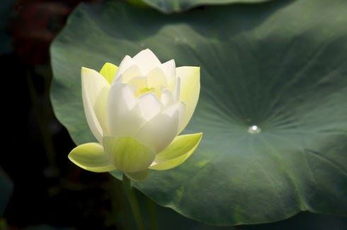 一个人最好的修养（值得收藏！）