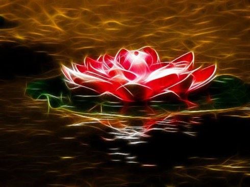 宣化上人：痛苦是怎么来的？不知足！