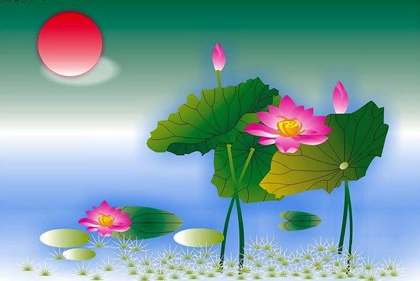 一碗白饭里的慈悲