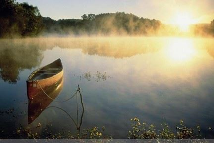 哪一个法门忏悔业障快